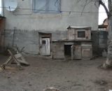 Amiben Ángyánnak igaza van